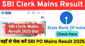 Read more about the article SBI Clerk Mains Result