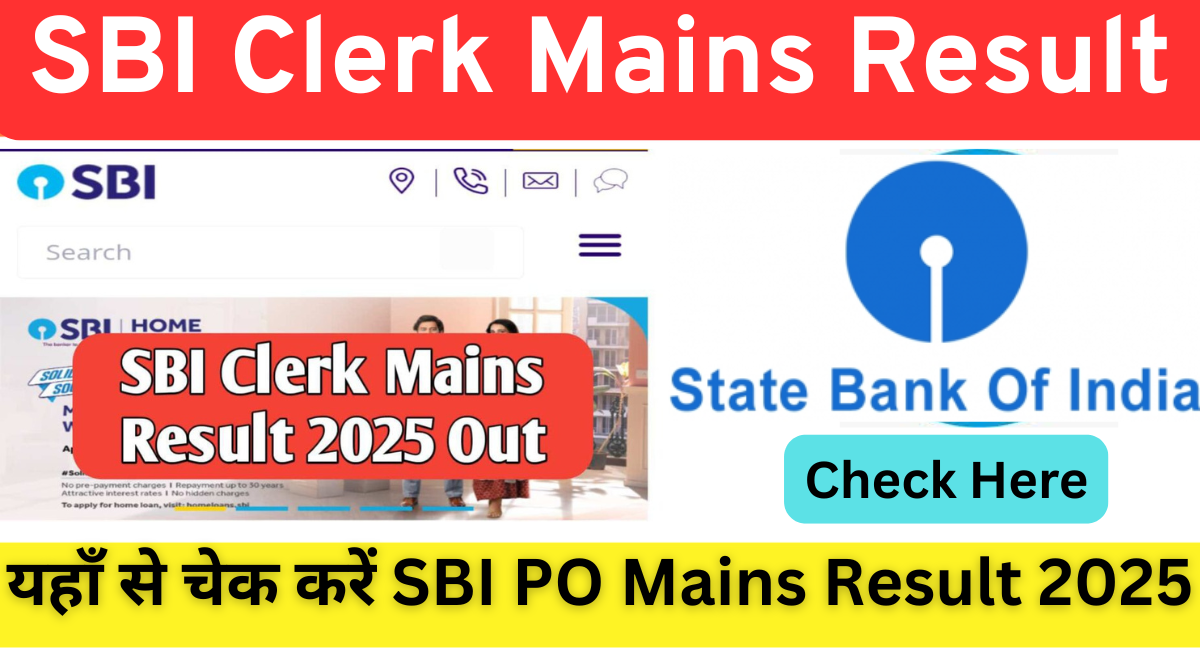 You are currently viewing SBI Clerk Mains Result