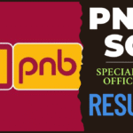 PNB Specialist Officer SO Result 2025 : मेरिट लिस्ट में चेक करें अपना नाम