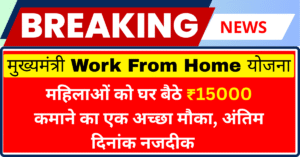 Rajasthan Mukhyamantri Work From Home Yojana 2025