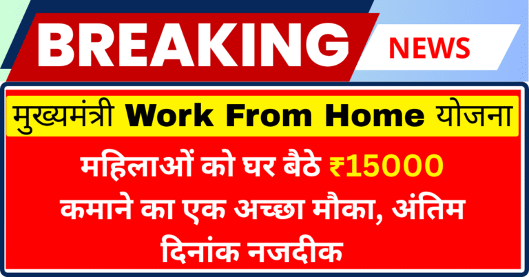Rajasthan Mukhyamantri Work From Home Yojana 2025